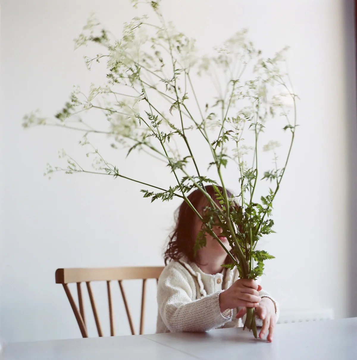 2 - Lucid Represents Lydia Goldblatt joins Lucid